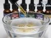 Fragrant Garden - Water-Soluble Essential Oil Set